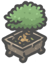 Jadebonsai.png