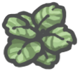 Calathea.png