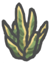 Snakeplant.png