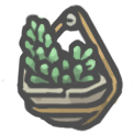 Mountedjadeplant.png