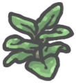 Rubberplant.png