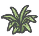 Spiderplant.png