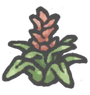 Bromeliad.png