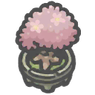 Sakurabonsai.png