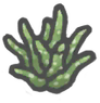 Aloe.png