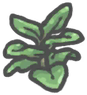 Rubberplant.png