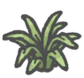 Spiderplant.png