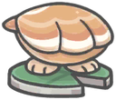 Clam.png